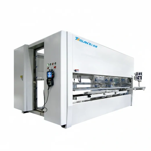 Автоматический 5-осевой CNC-станок для окраски сложных 3D-изделий TS-2500#