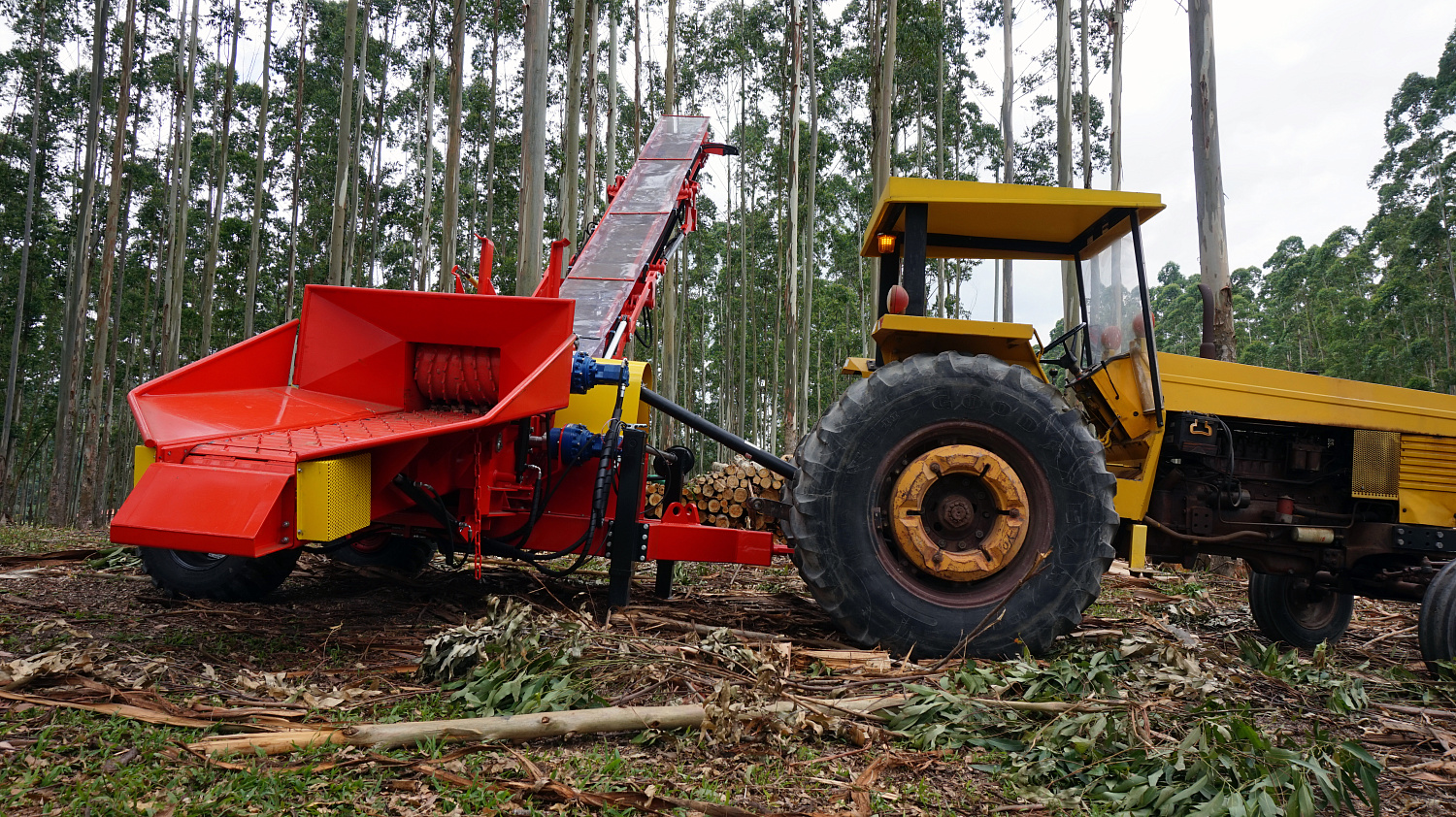 Рубительная техника LIPPEL, Бразилия - Это 50-летний опыт производства